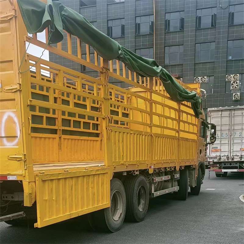 潮安区吉安市物流：多元服务与高效运输线路探秘